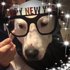 Meet your Posher, Connie